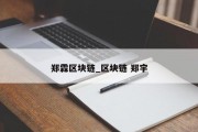 郑霖区块链_区块链 郑宇